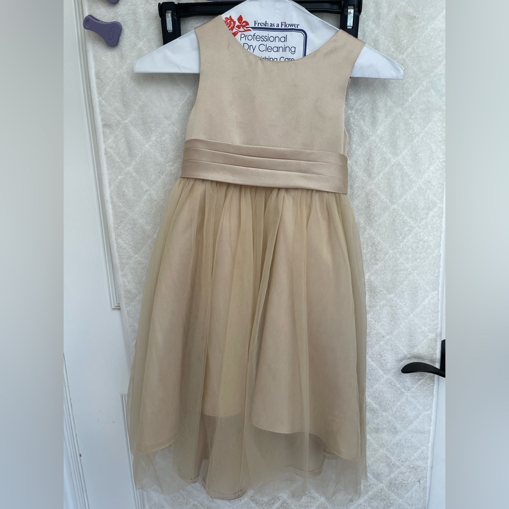 Elegant champagne toddler girls Dress